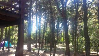 Bluingrin - Mar de las Pampas - 3