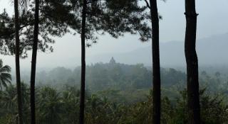 Plataran Borobudur - Borobudur - 5