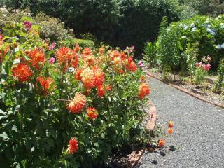 Boat Harbour Garden Cottages - Boat Harbour - 0