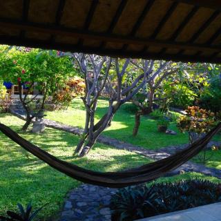 Le Jardin - 7