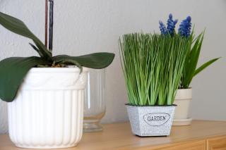 Wohnung-Amsel-App-4 - Westerland - 6