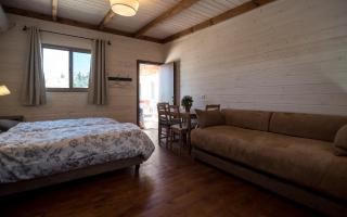 Myrtle the Turtle Guesthouse - Safed - 5