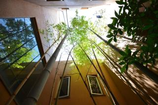 Yamato Kashihara City Hotel - Kashihara - 4