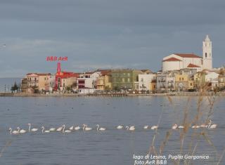 L'ISOLA AeR B&B - Lesina - 0