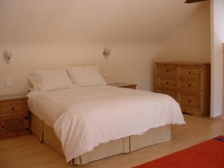 Triton Cotton - Laniscat - 6