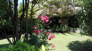 Appartamento giardino sugli ulivi - Riva del Garda - 0