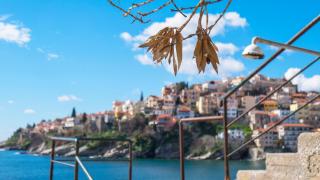 Olive House Apartments - Kavala - 5