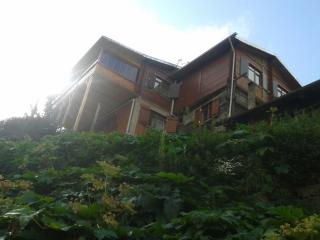 Keleş Dag Evi - Uzungöl - 0