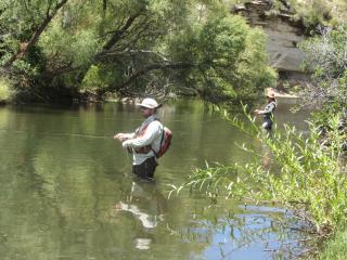 Lupela Lodge - Lady Grey - 4