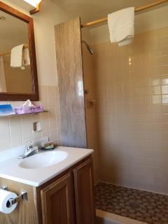 Potawatomi Inn & Cabins - Angola - 3