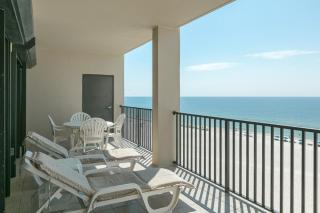 The Palms - 1