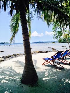 Turtle Bay Lodge - 2