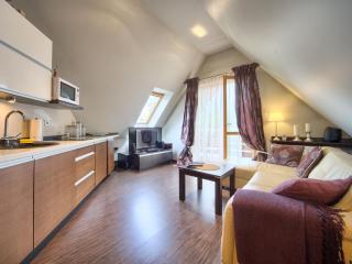 VisitZakopane - Mango Apartment - Zakopane - 1