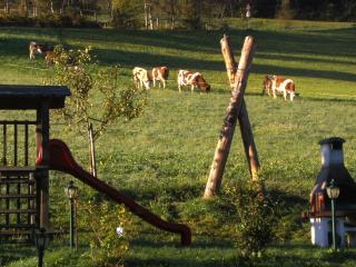 Vordersattlegghofhütte - 2