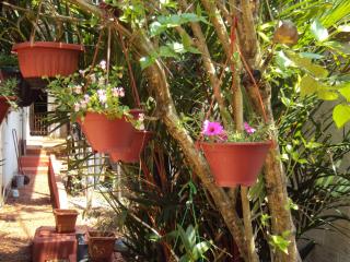 Angel Villa - Beruwala - 1