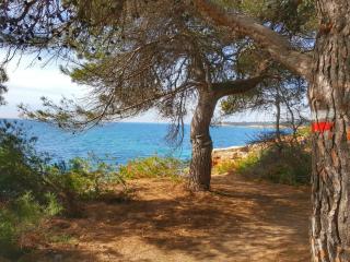 Finca Llambrich - L'Ametlla de Mar - 1