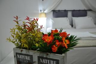 Nova Citrus Otel - 5