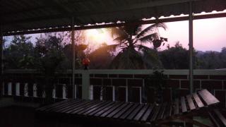 CBR Ayurhealth - 7
