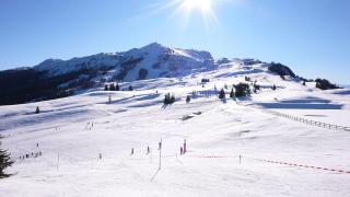 Ferienwohnung Blick auf die Berge - Pidingerau - 8