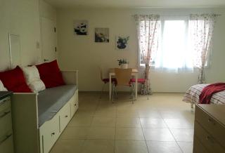 Charming Studio near Rotsee Lucerne Kitchen/WiFi/Wasching machine - Lucerne - 2