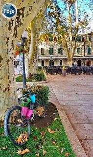 Apartman Ancora1 - Trebinje - 5