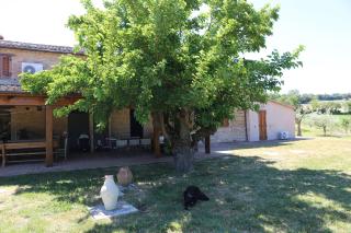 Casale Talevi - Cartoceto - 1
