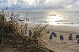 Wohnung-Westerlandblick - Westerland - 5