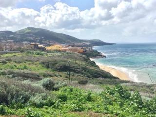 Asinara 2 - Castelsardo - 9