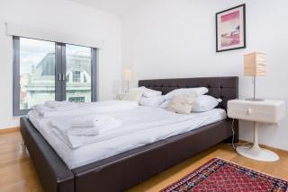 Heart of Vienna with Aircondition - 3