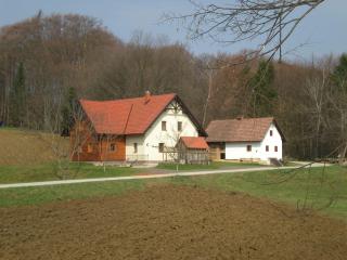Tourist Farm Rajšp - Benedikt v Slovenskih Goricah - 4