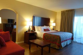 Ramada by Wyndham Sacramento - Sacramento - 3