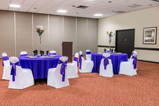Ramada by Wyndham Odessa Near University of Texas Permian - Odessa - 3