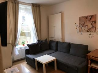 Edinburgh Central Apartment - Edinburgh - 5