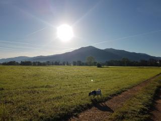 Ferienwohnung am Siegelbächle - 9