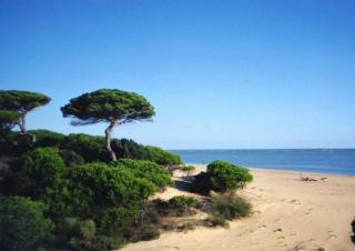 Ático del Portil - El Portil - 6
