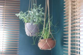 Waitapu Springs B&B - 2