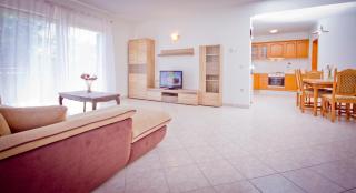 Holiday Home Vinac - Dazlina - 6