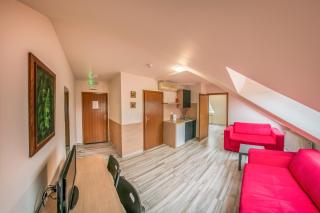 Veliki Garni Hotel - Novi Sad - 5
