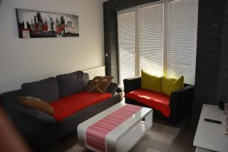 Apartment Velcom - Moravske Toplice - 6