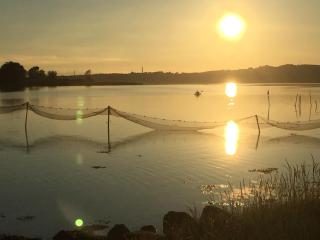 Feriehus Syd på Rødkærgård - Kerteminde - 9