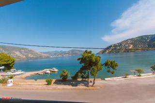 Antikyra Beach Hotel - 7