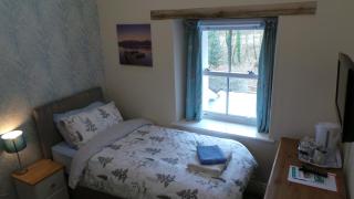 Old School B & B - Llandysul - 3