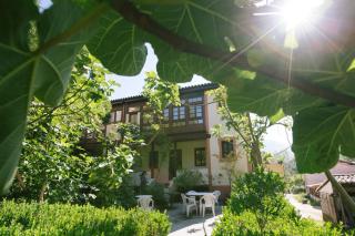 La Casona de La Vega, junto a Cangas de Onís - Cangas de Onís - 1