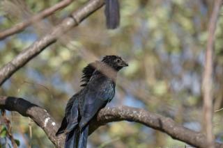 Hostal y Restaurante Rancho Merida - 5