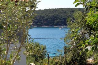 Apartments by the sea Brgulje, Molat - 6243 - 1