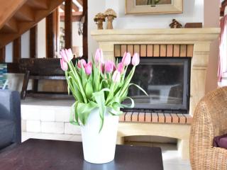 Characteristic house with heated pool - Saint Germain la campagne - 1