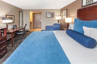 Wyndham Garden Elk Grove Village - O'Hare - 5