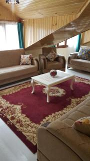 Uzungöl Özbek Apart ve Kafe - 1