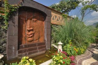 La Buena Vibra Wellness Resort & Spa - 1