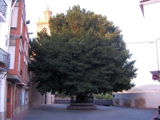 Apartamentos Rurales San Juan - Castellnovo - 6